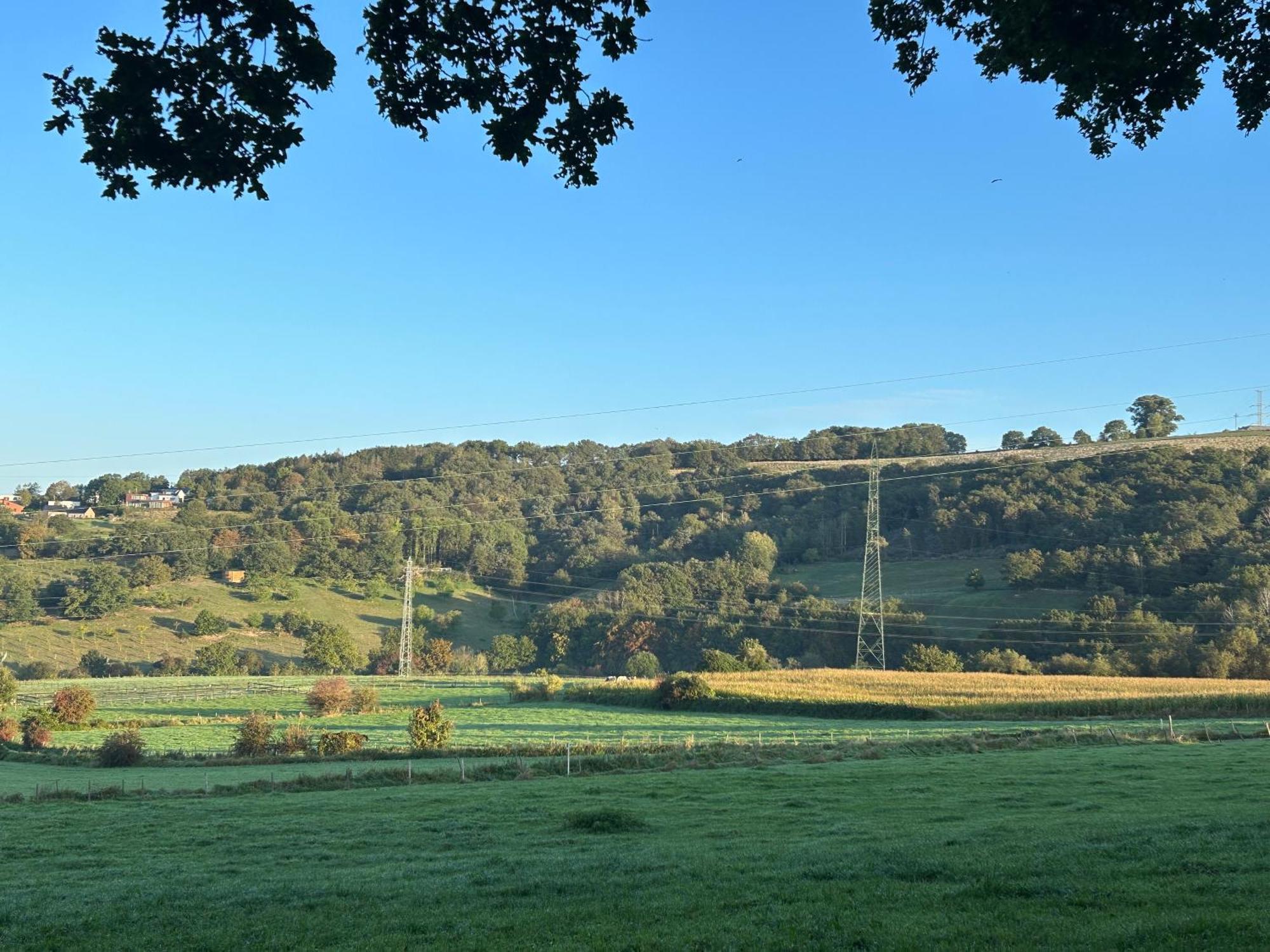 Guest House En Famille Ou En Couple A La Campagne Romsee Bagian luar foto